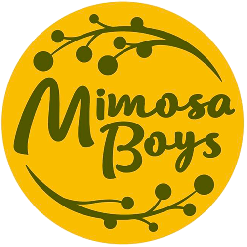 Mimosa Boys